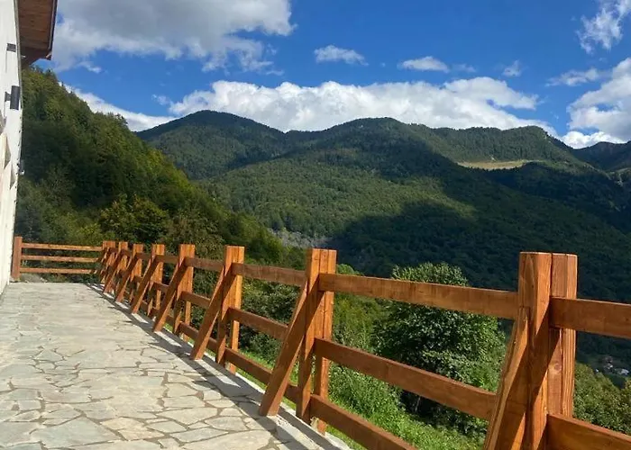 Alpin Zeneli Penzion 4*