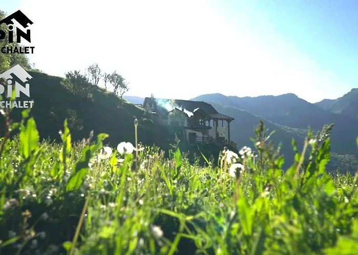 Alpin Zeneli 4*