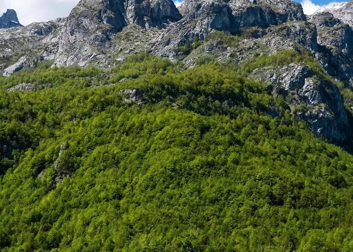 Alpin Zeneli 4*
