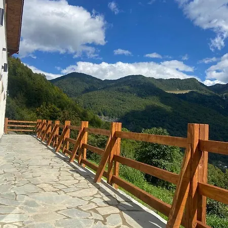 Alpin Zeneli Guest house *