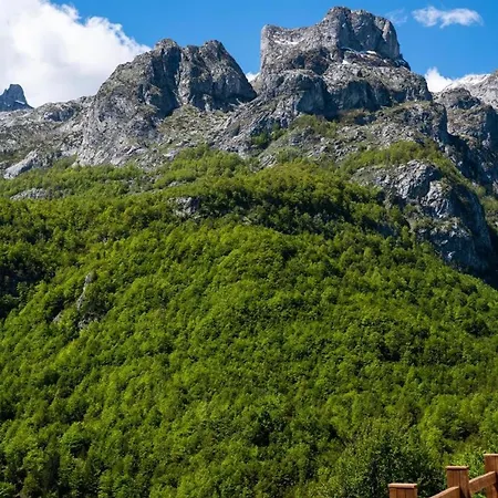 Alpin Zeneli *