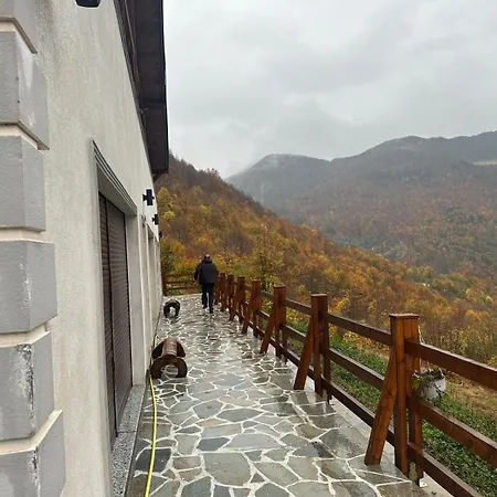 Alpin Zeneli