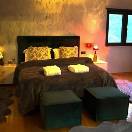 Guest house Alpin Zeneli Cerem